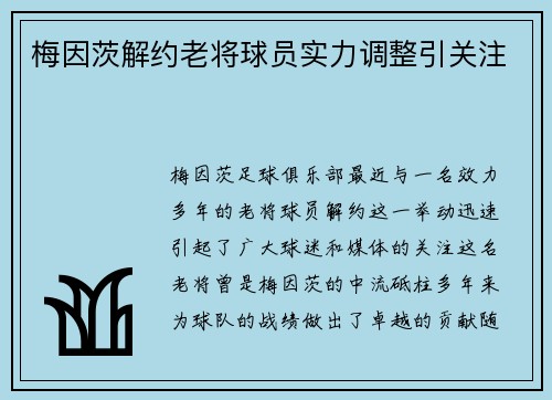 梅因茨解约老将球员实力调整引关注