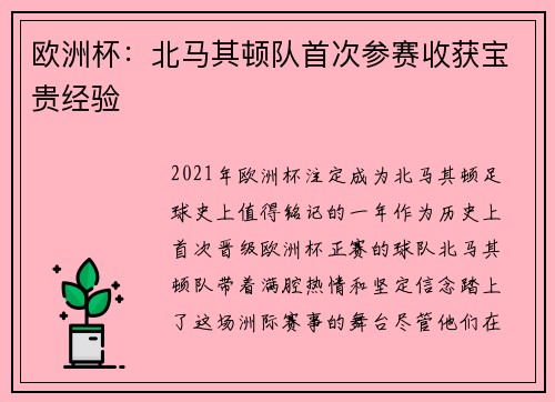 欧洲杯：北马其顿队首次参赛收获宝贵经验